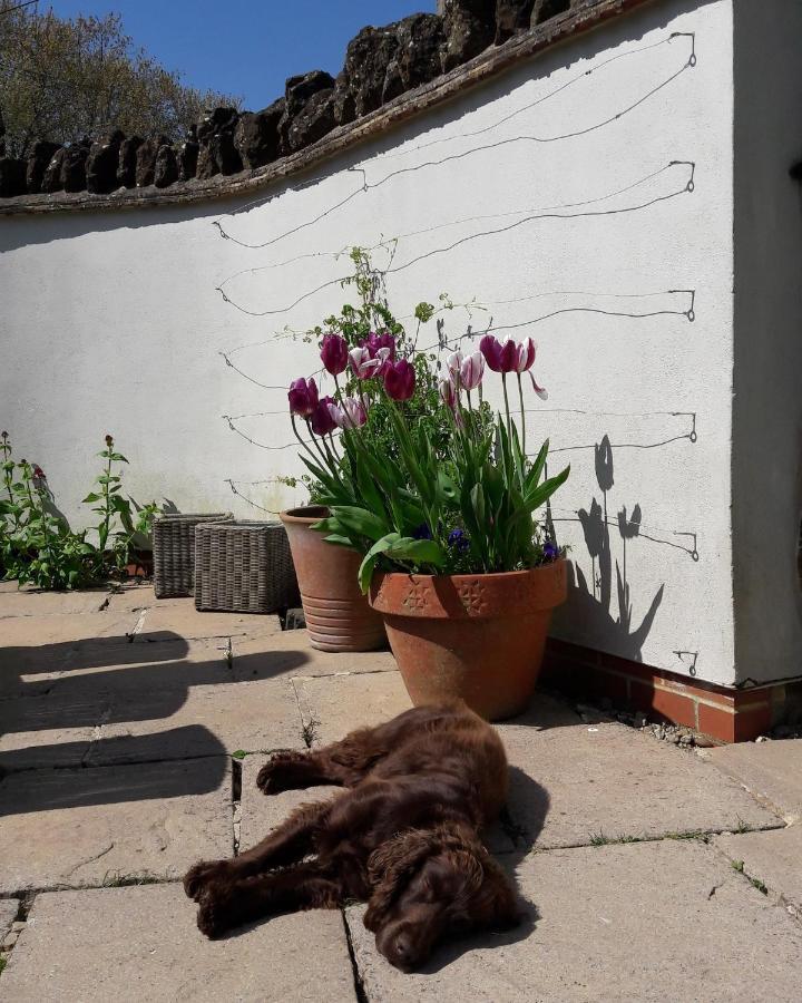 Wayside House B&B Whichford المظهر الخارجي الصورة