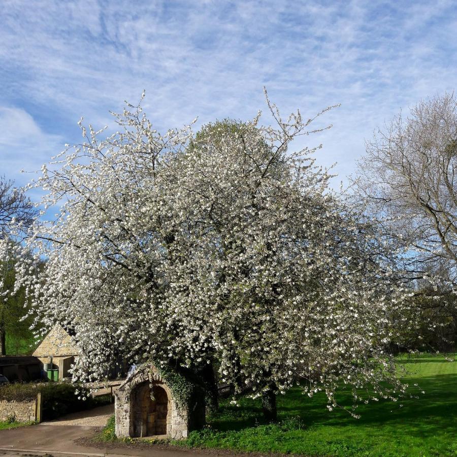 Wayside House B&B Whichford المظهر الخارجي الصورة